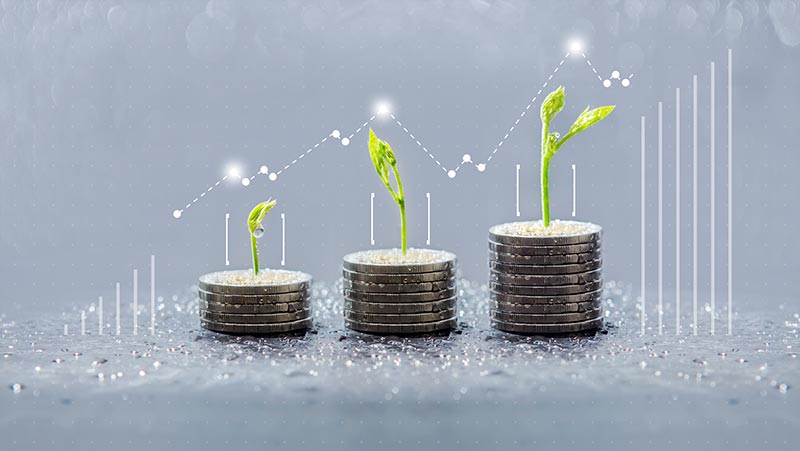 La finance durable : qu'est ce que c'est ?